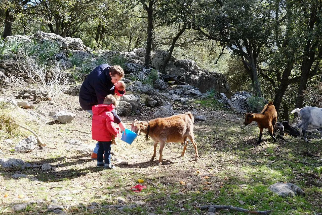 Agroturismo Son Alzines Lluc 0*,  Spain