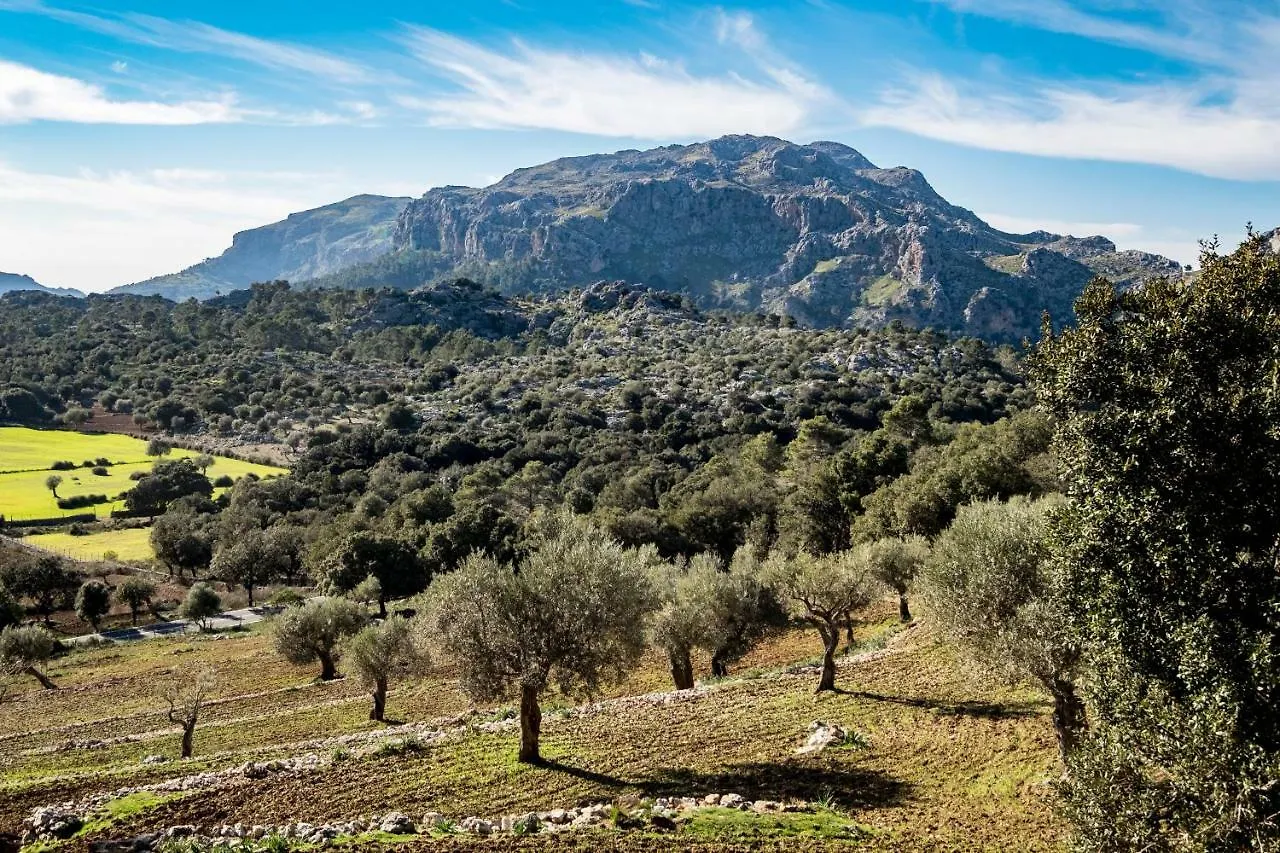 Farm stay Agroturismo Son Alzines Lluc